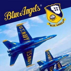 Blue Angels Aerobatic Flight Simulator Pc