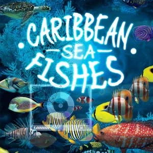 Caribbean Sea Fishes Pc