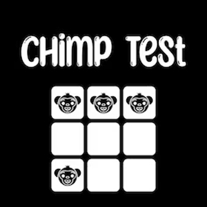 Chimp Test Playstation 5