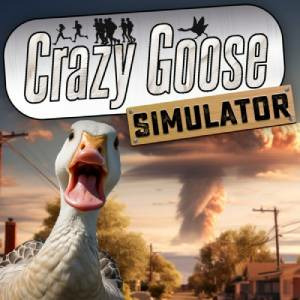 Crazy Goose Simulator Playstation 4