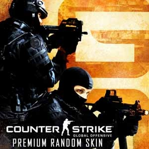 CSGO 1 Premium Random Skin Pc