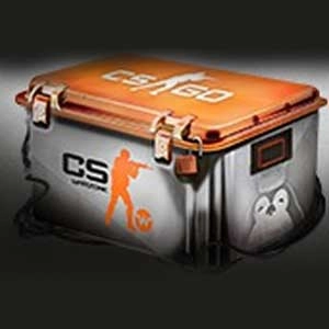 CSWarzone CSGO Skin Case Pc