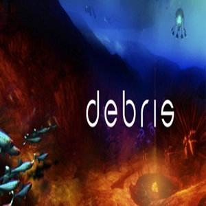 Debris Xbox Series X