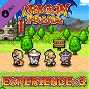 Dragon Prana Experience x3 Pc