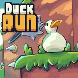 Duck Run Playstation 4