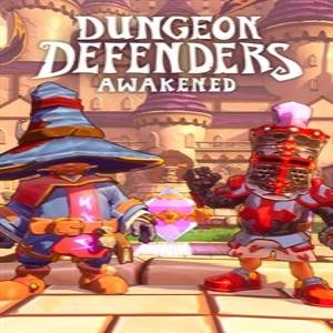 Dungeon Defenders Awakened Original Hero Paper Masks Xbox Series X