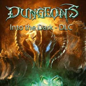 Dungeons Into the Dark Pc