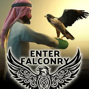 Enter Falconry Pc