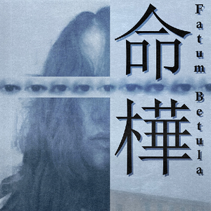 Comprar Fatum Betula Nintendo Switch barato Comparar Preços