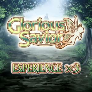 Glorious Savior Experience x3 Pc