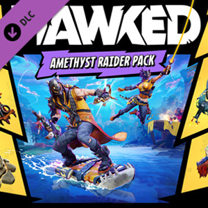 HAWKED Amethyst Raider Pack Playstation 4