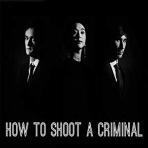 How to shoot a criminal Pc