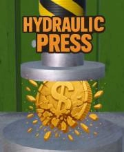 Hydraulic Press Switch