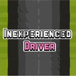 Inexperienced Driver Pc