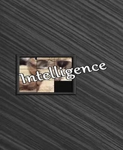 Intelligence Pc