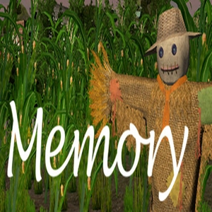 Memory Pc