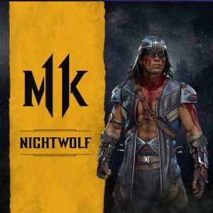 Mortal Kombat 11 Nightwolf Playstation 4