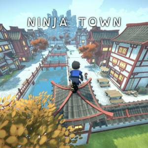 Ninja Town Playstation 5