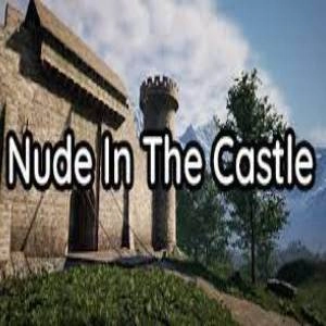 Nude In The Castle