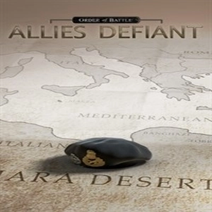 Order of Battle Allies Defiant Playstation 4