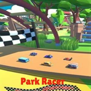 Park Racer Switch