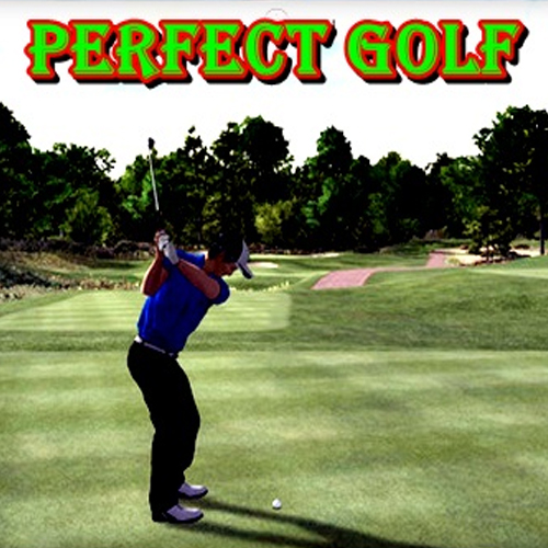 Comprar Perfect Golf CD Key Comparar Preços