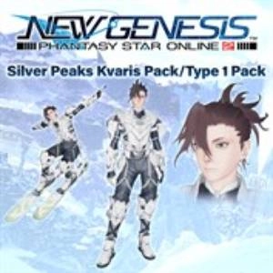 Phantasy Star Online 2 New Genesis Silver Peaks Kvaris Pack Type 1 Pack Xbox Series X
