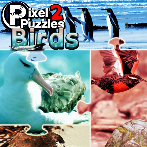 Comprar Pixel Puzzles 2 Birds CD Key Comparar Preços