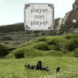 Player Non Player Pc