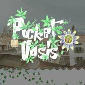 Pocket Oasis Switch