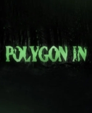 Polygon In Pc