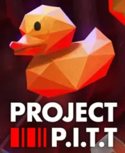 Comprar Project P.I.T.T. Key Comparar Preços