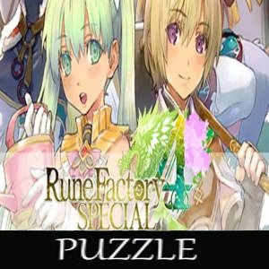 Puzzle For Rune Factory 4 Special Pc