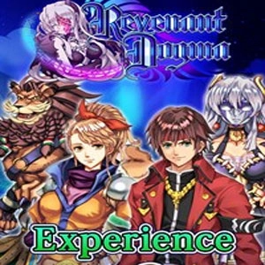 Revenant Dogma Experience Orichalcum Playstation 4