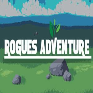 Rogues Adventure Pc