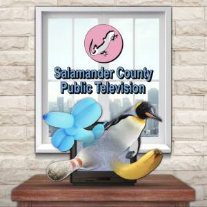 Comprar Salamander County Public Television Nintendo Switch barato Comparar Preços