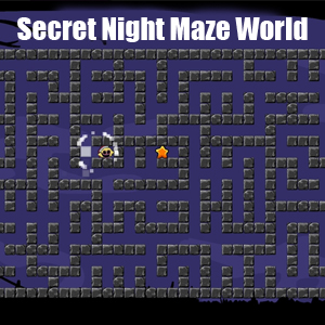 Comprar Secret Night Maze World CD Key Comparar Preços