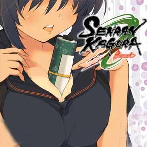 Senran Kagura Burst 3Ds