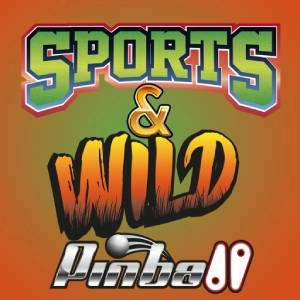 Sports & Wild Pinball Switch