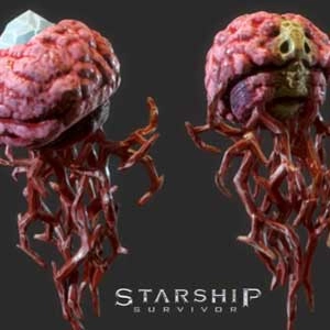 Starship Survivor Pc