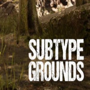 Subtype Grounds Pc
