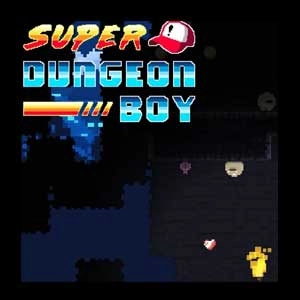 Super Dungeon Boy Pc