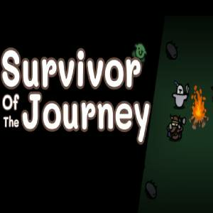 Survivor Of The Journey Pc