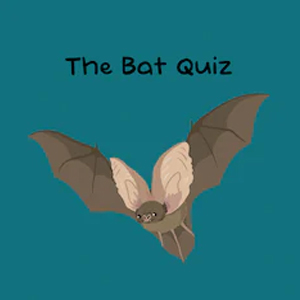 The Bat Quiz Playstation 4