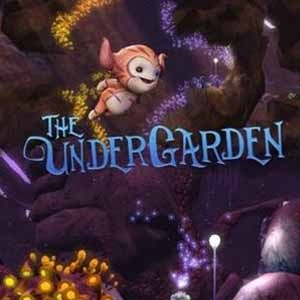 The Undergarden Pc