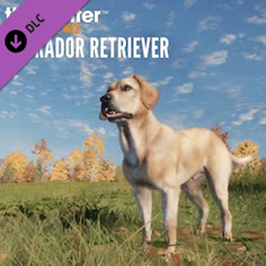 theHunter Call of the Wild Labrador Retriever Pc