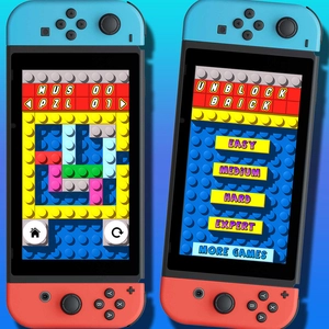 Unblock Brick Switch