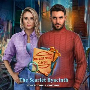 Unsolved Case The Scarlet Hyacinth Switch