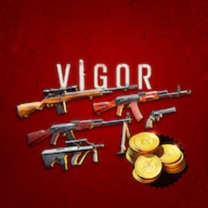 VIGOR ARMORY PACK Playstation 4