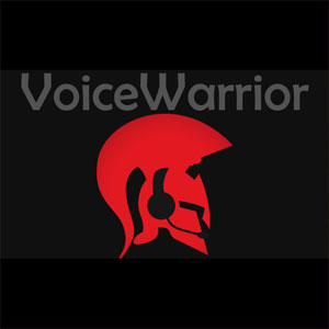 Comprar VoiceWarrior CD Key Comparar Preços